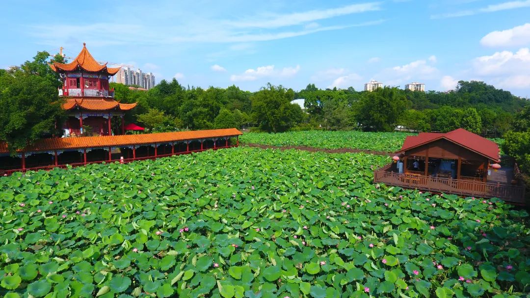 文昌阁.jpg 图片