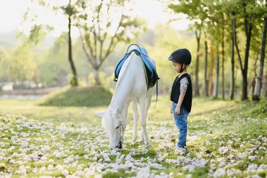 微信图片_20200516085601.jpg 图片